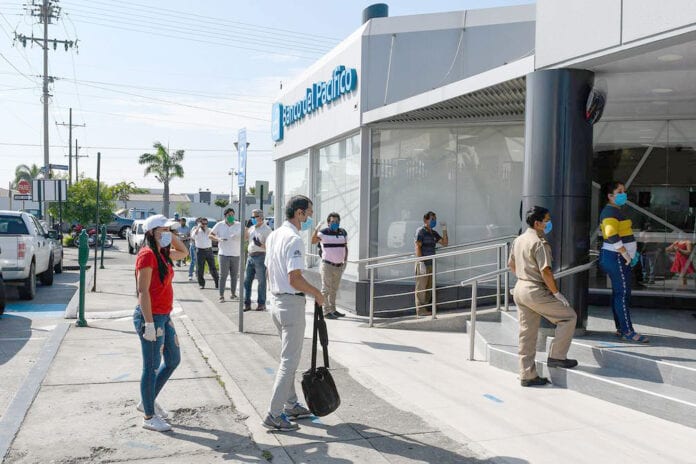 1-8A-4-coles-cortesia