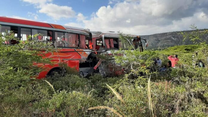 bus