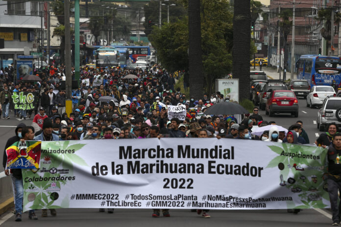 Cientos de personas reclaman la legalización total de la marihuana en Ecuador