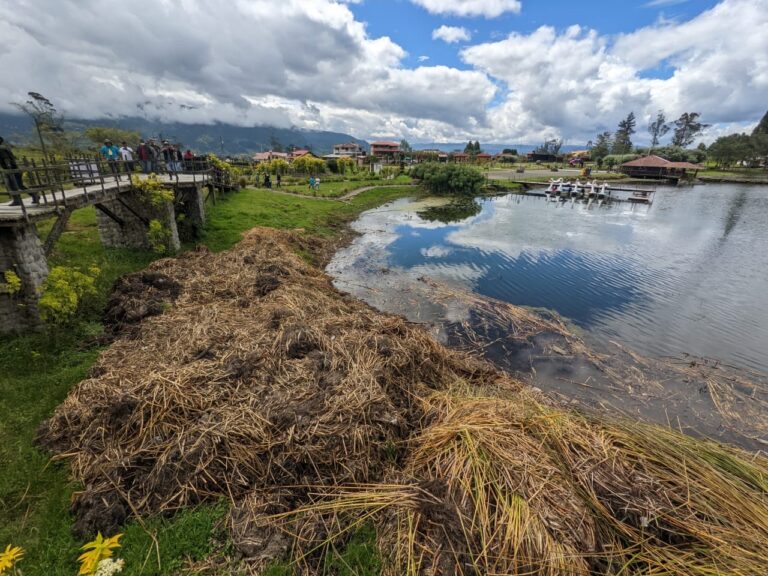 Proyecto para el retiro de totora y lodo en laguna de Busa genera controversia
