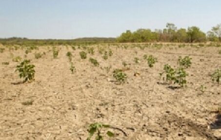Latinoamérica avanza en un plan regional de agricultura ante cambio climático