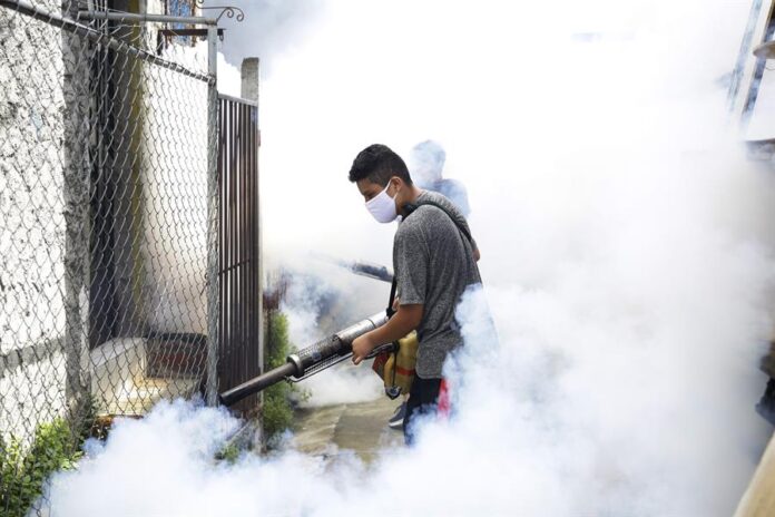 . América sigue librando una dura batalla para contrarrestar el avance del dengue en la región. A medidas como la eliminación de criaderos de zancudos y la fumigación, se suma ahora una técnica inusual: liberar comunidades de mosquitos 'vacunados' con una bacteria, a través de drones, en zonas con alta incidencia de la enfermedad. EFE