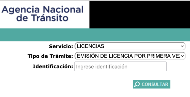 Como Sacar La Licencia De Conducir