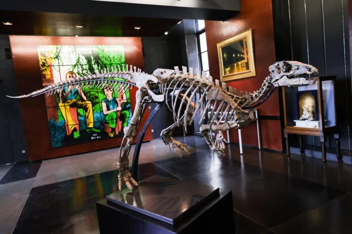 esqueleto dinosaurio
