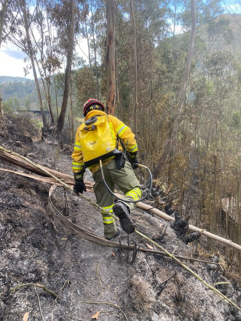 Incendios forestales arrasan siete hectáreas en Cuenca y sus alrededores