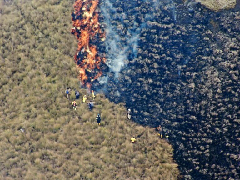 150 personas combaten incendio forestal en el Parque Nacional Cajas