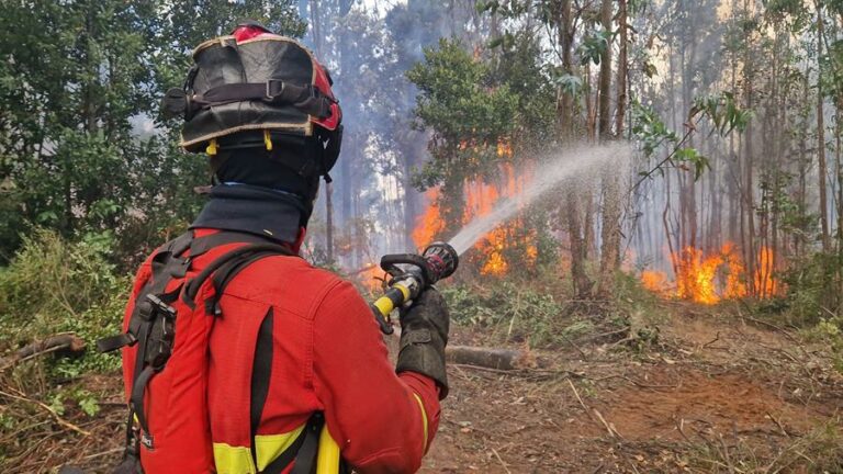 Unos 300 incendios siguen activos en Chile, con 425.000 hectáreas calcinadas