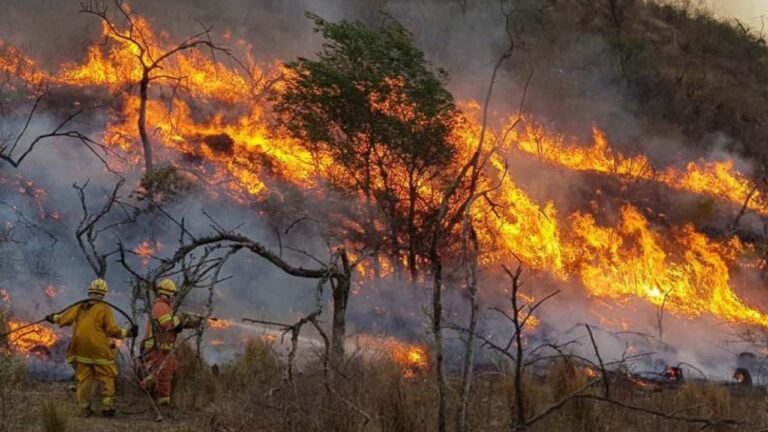 Argentina enfrenta críticos incendios en la zona de humedales del noreste