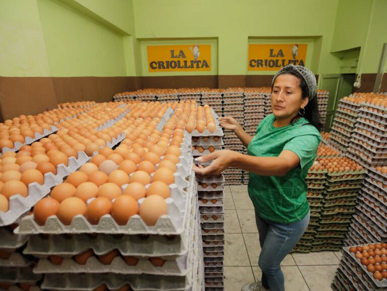 Precio de los huevos sube entre 15% y 20%