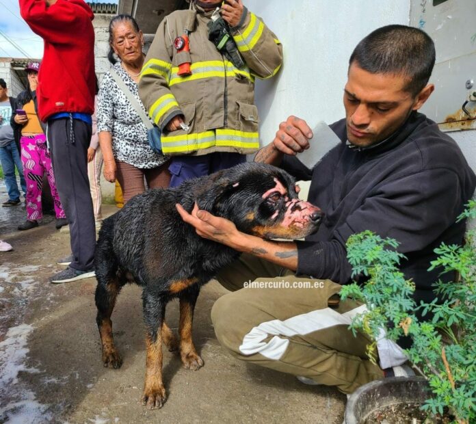 Taison sufrió quemaduras graves a causa del incendio de una vivienda, en el sector Carmen de Guzho, en Cuenca.