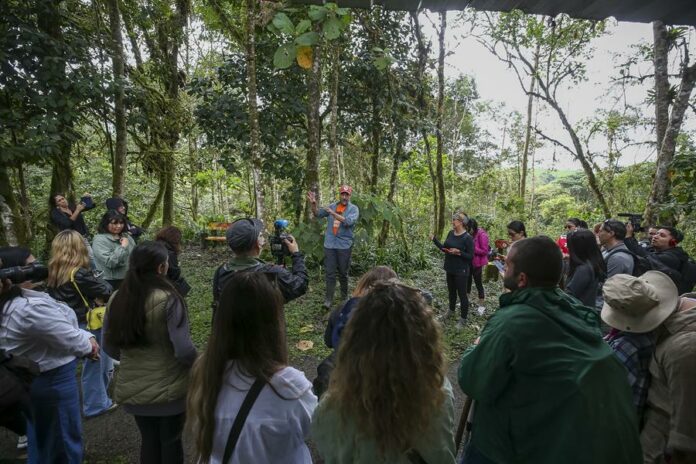 Chocó Andino