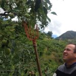 René Barrera, presidente del GAD de Bulán, en su manzanar.(AZD)