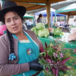Rosa Corte, agroproductora de la parroquia Jadán, será una de las proveedoras para la canasta popular.(AZD)