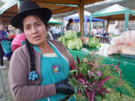 Rosa Corte, agroproductora de la parroquia Jadán, será una de las proveedoras para la canasta popular.(AZD)