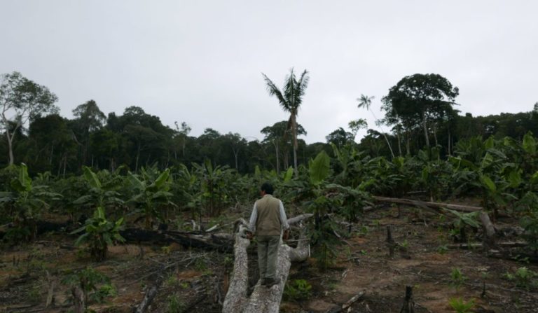 Latinoamérica, la región del mundo más letal para ambientalistas y defensores