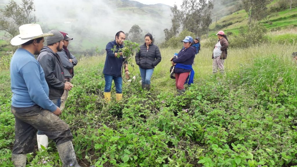 A diario, los técnicos del MAG trabajan junto a los agricultores mejorando terrenos, pastos y dinamizando los cultivos.(Cortesía)