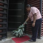 María Bueno recoge eucalipto en la zona de El Cebollar para hacer remedios preventivos contra el coronavirus.(XCA)