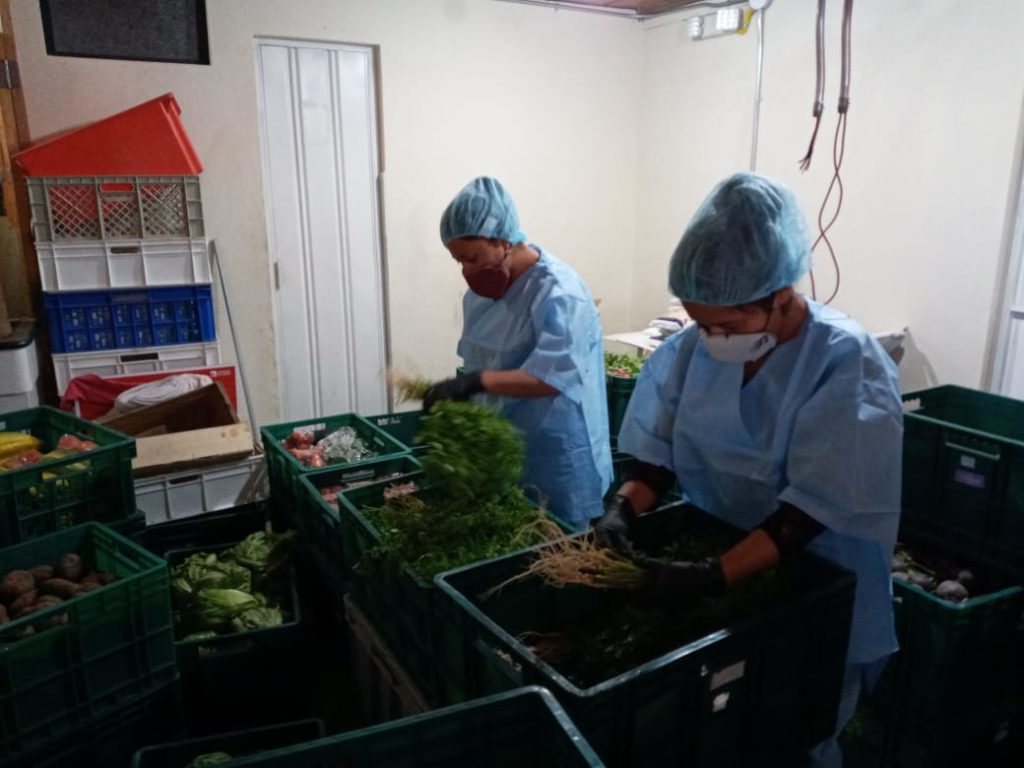 Los productos son frescos y sanos porque los pequeños productores utilizan abono orgánico.(Cortesía)