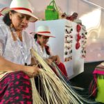 Paja para hacer sombreros.(Archivo)