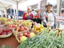 La producción de manzana en Bulán, abundante, la caída del precio por la emergencia preocupa a los agricultores.(Archivo)