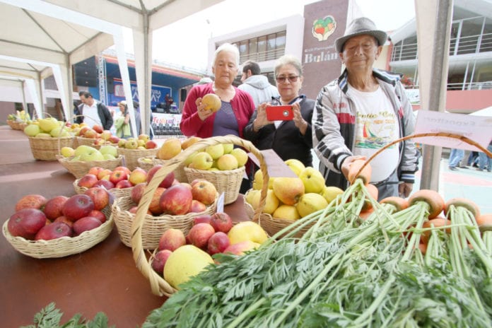 La producción de manzana en Bulán, abundante, la caída del precio por la emergencia preocupa a los agricultores.(Archivo)
