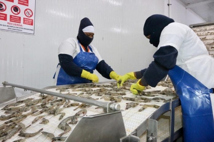 Ecuador garantizará a China toda información y revisión necesaria del camarón