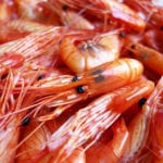 Ecuador promoverá su oferta exportable en la gastronomía europea durante una gira que incluirá presentaciones en España y Francia.