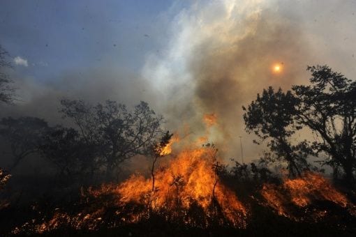 Los incendios en Brasil han destruido este año un área del tamaño de Bélgica