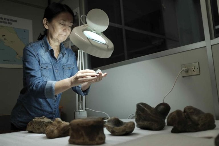 Un prehistórico perezoso gigante único en el mundo sorprende a la ciencia