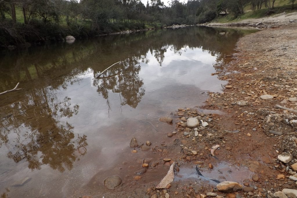 En Sígsig alertan posible contaminación minera en el río Santa Bárbara -  Diario El Mercurio