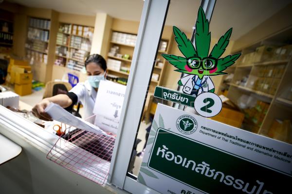 La ONU reconoce oficialmente las propiedades medicinales del cannabis