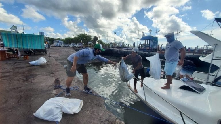 Extraen de los fondos marinos de Galápagos 2.239 kilos de basuras