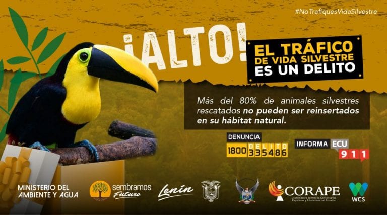 Autoridades lanzan campaña para combatir tráfico de vida silvestre en Ecuador