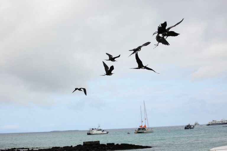 Ecuador inaugura reserva en Galápagos y sella la mayor área marina protegida
