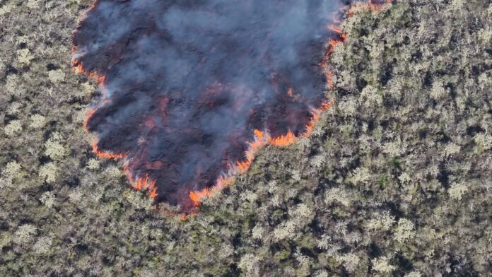 Entra en erupción un volcán en Galápagos donde habitan especies únicas