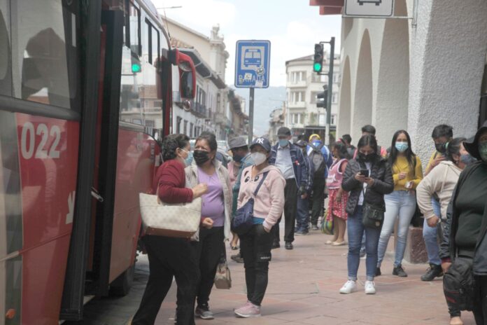 buses