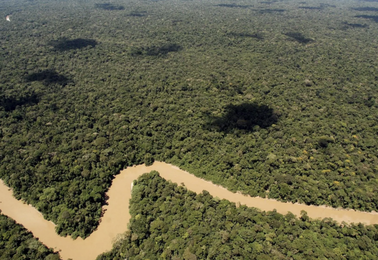 ONGs piden protección para pueblos en aislamiento en parque amazónico de Ecuador
