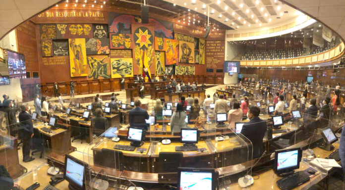1-12A-4coles-asamblea