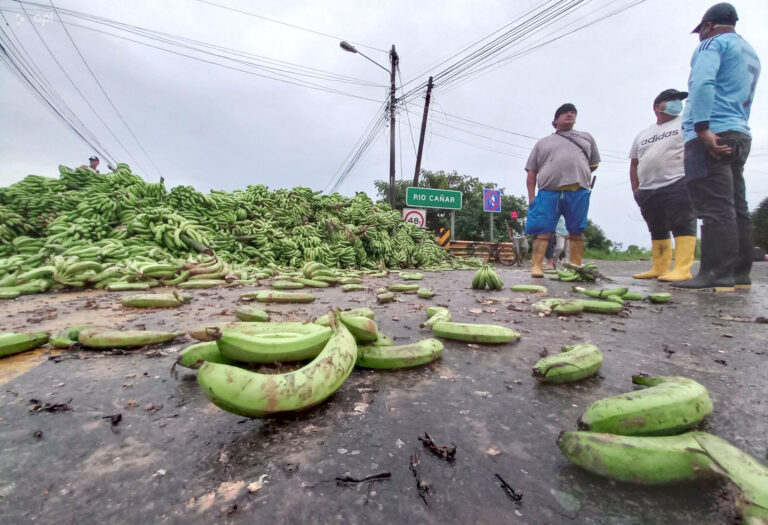 Ecuador subvencionará a pequeños productores de banano afectados por guerra