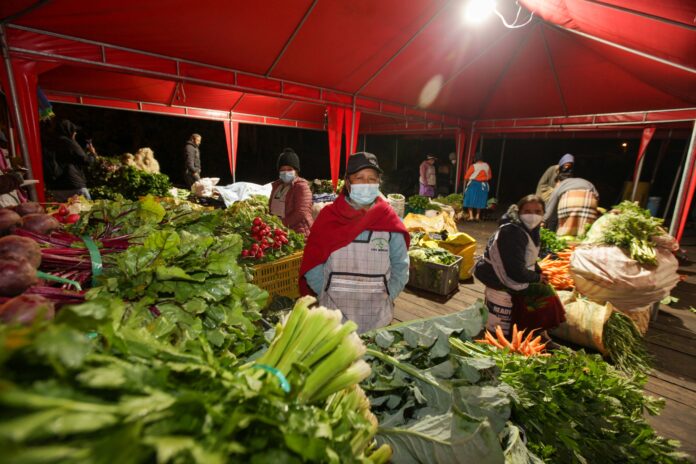 1 -7A - 6 COLES...AGROPRODUCTORES DE SAN JOAQUIN Y SAYAUSI...XCA...