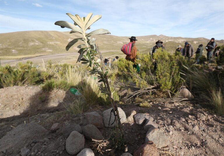 Los «guardianes» del agua retoman prácticas ancestrales en cuenca boliviana