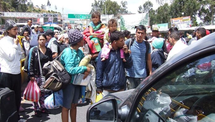 migracion