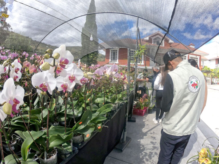 En Ecuagenera se vive fiesta de las orquídeas