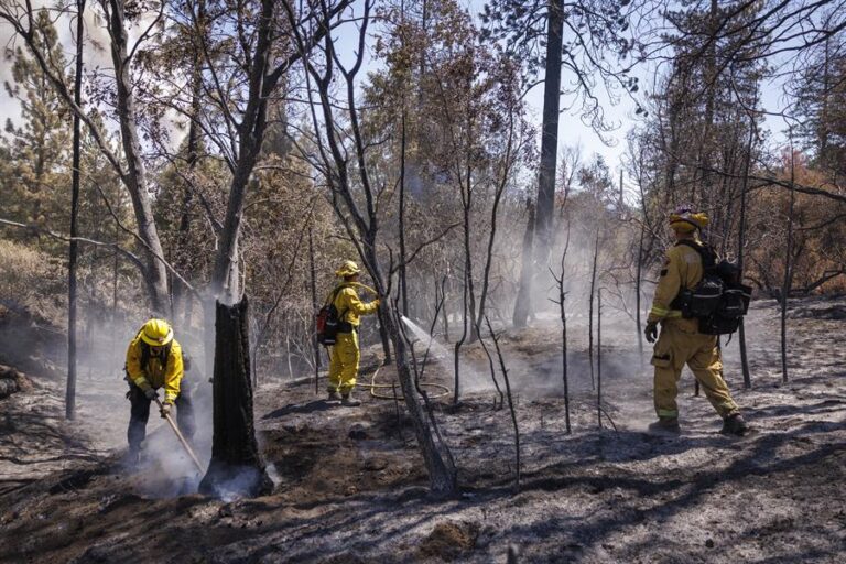 El segundo incendio cerca de Yosemite ha arrasado ya unas 6.300 hectáreas