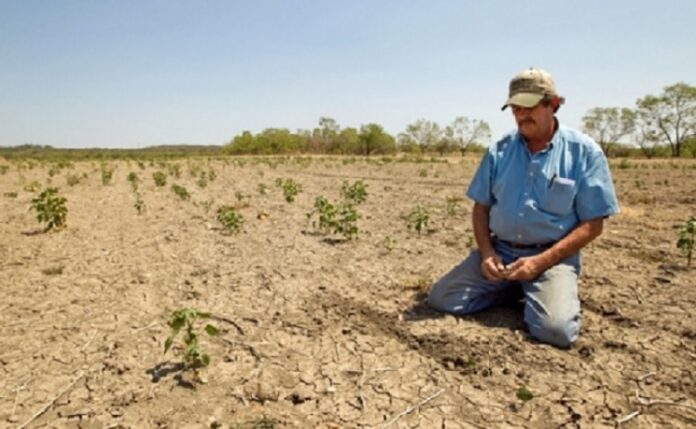 Cambio-climatico