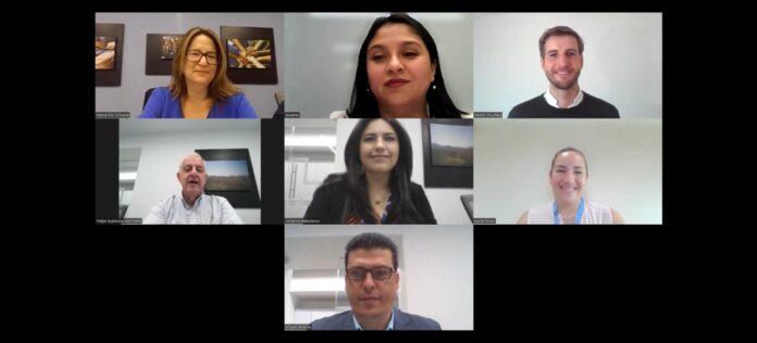 la Cámara de Comercio Ecuatoriano Americana AMCHAM organizó el Webinar “El desafío de fortalecer los sistemas de salud”