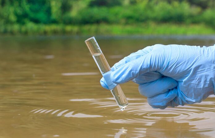 Con una pequeña cantidad de aguas residuales sin tratar, este algoritmo es capaz de determinar con precisión cuántas variantes del virus circulan entre la población.