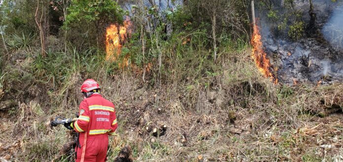 incendio-forestal- 1-7A 4 coles koq