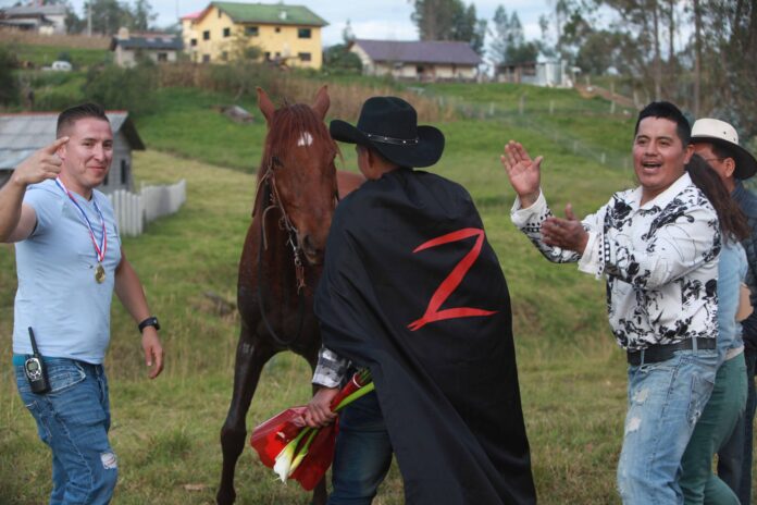 1 -7A...4 COLES..CASERIA DE ZORRO...XCA...