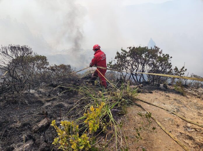 Las emergencias por incendios han sido atendidas por miembros de Cuerpos de Bomberos de distintos cantones.